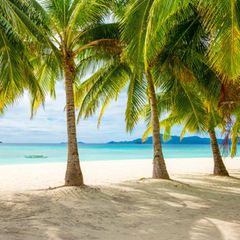 Strand Culion