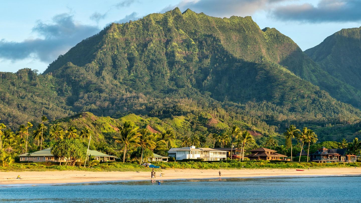 Wie-der-Haustausch-gelingt-Hawaii-Island-oder-New-York-das-h-tten-wir-uns-sonst-nie-leisten-k-nnen-GEOplus
