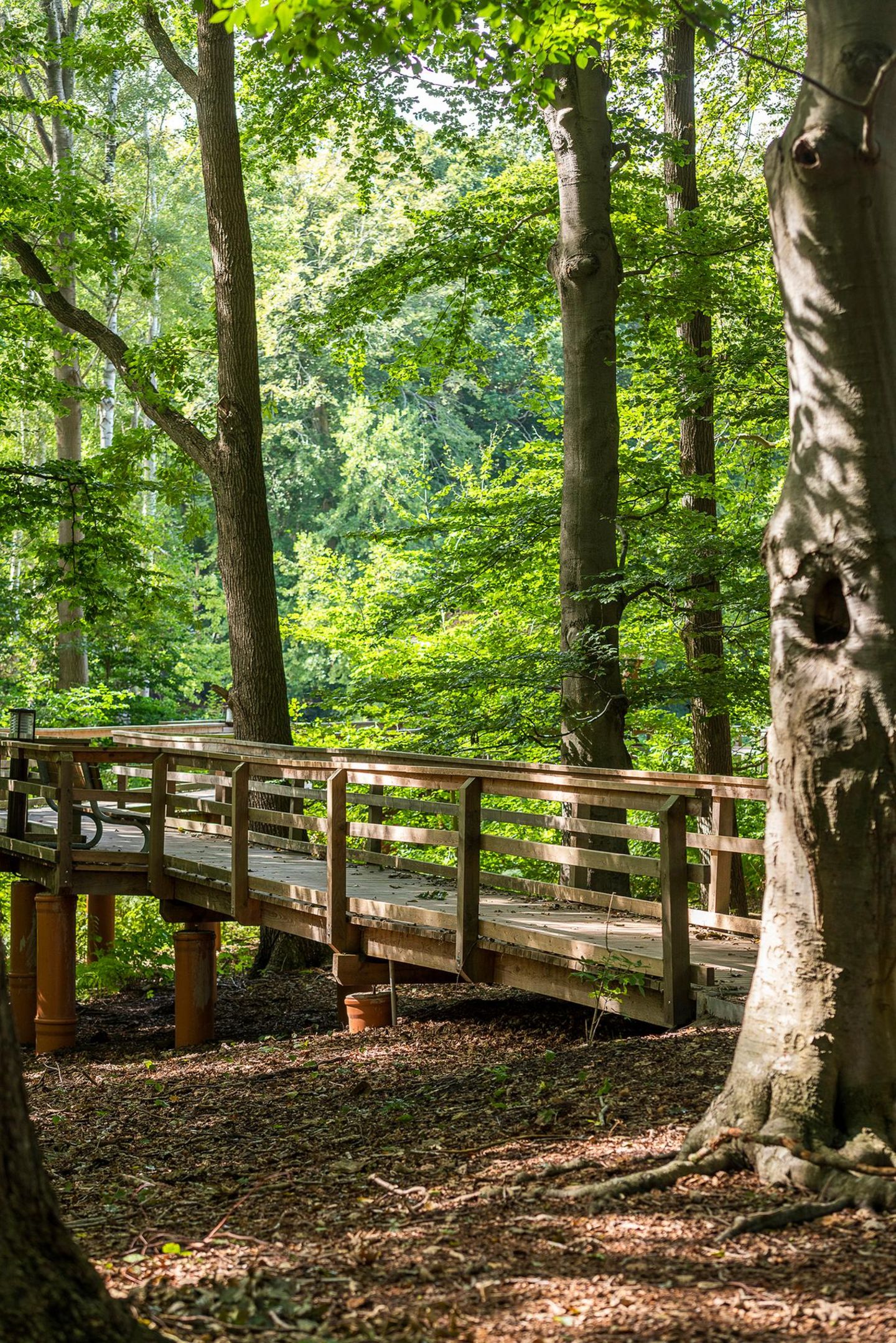 Achtsamkeitspfad im Kurwald Graal-Müritz