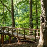 Achtsamkeitspfad im Kurwald Graal-Müritz