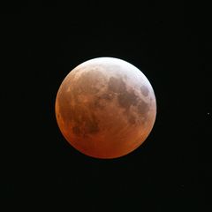 Bei einer totalen Mondfinsternis tauchen die Sonnenstrahlen im Wechselspiel mit der Erdatmosphäre den Mond in rotes Licht