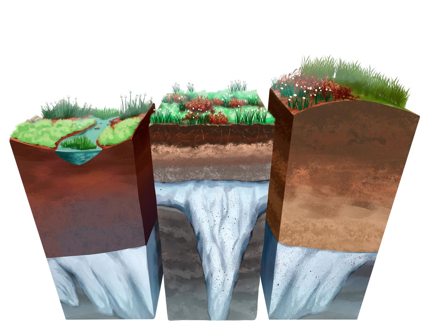 Sedimentgestein