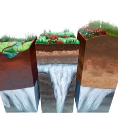 Sedimentgestein