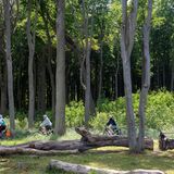 Gespensterwald Nienhagen an der Ostsee, Buchenwald, Touristen auf Fahrrädern, Nienhagen, Mecklenburg-Vorpommern, Deutschland