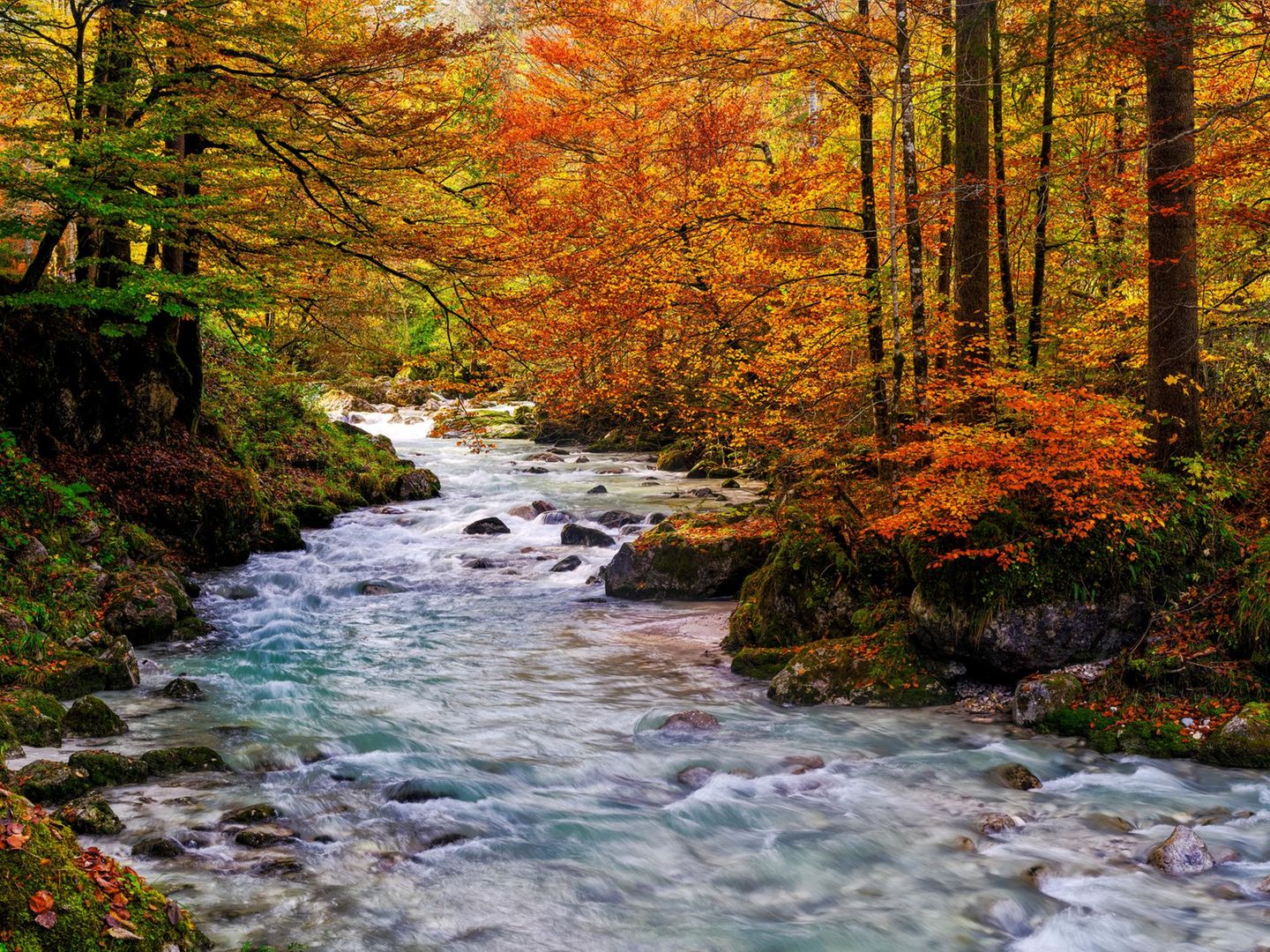 Herbst im Ramsauer Zauberwald, Nationalpark Berchtesgadener Alpen