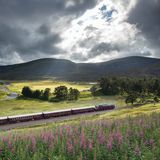 Der Royal Scotsman