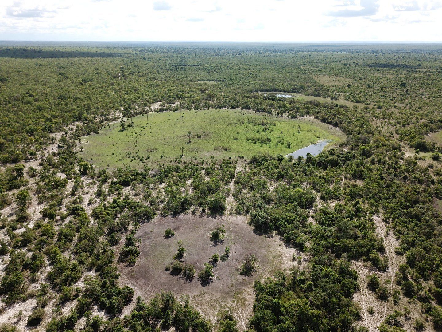 Ein Feenkreis im São Francisco Becken in Brasilien: Sie lassen Rückschlüsse auf Wasserstoffvorkommen zu. Denn diese senken sich durch das Aufsteigen von natürlichem Wasserstoff ab