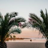 Bystranda in Kristiansand, im Vordergrund Palmen