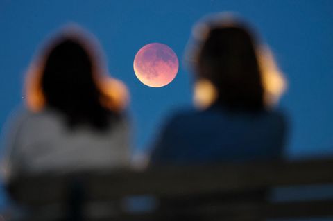 By-line=Jan Woitas  Caption/Abstract=Schaulustige betrachten von einer Parkbank aus die auch als Blutmond bezeichnete totale Mondfinsternis. Dabei schiebt sich der Mond nach und nach in den Erdschatten - bis hin zur totalen Mondfinsternis.  City=Leipzig