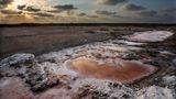 Von Salzwasser überschwemmtes Ackerland