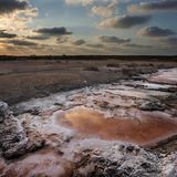 Von Salzwasser überschwemmtes Ackerland