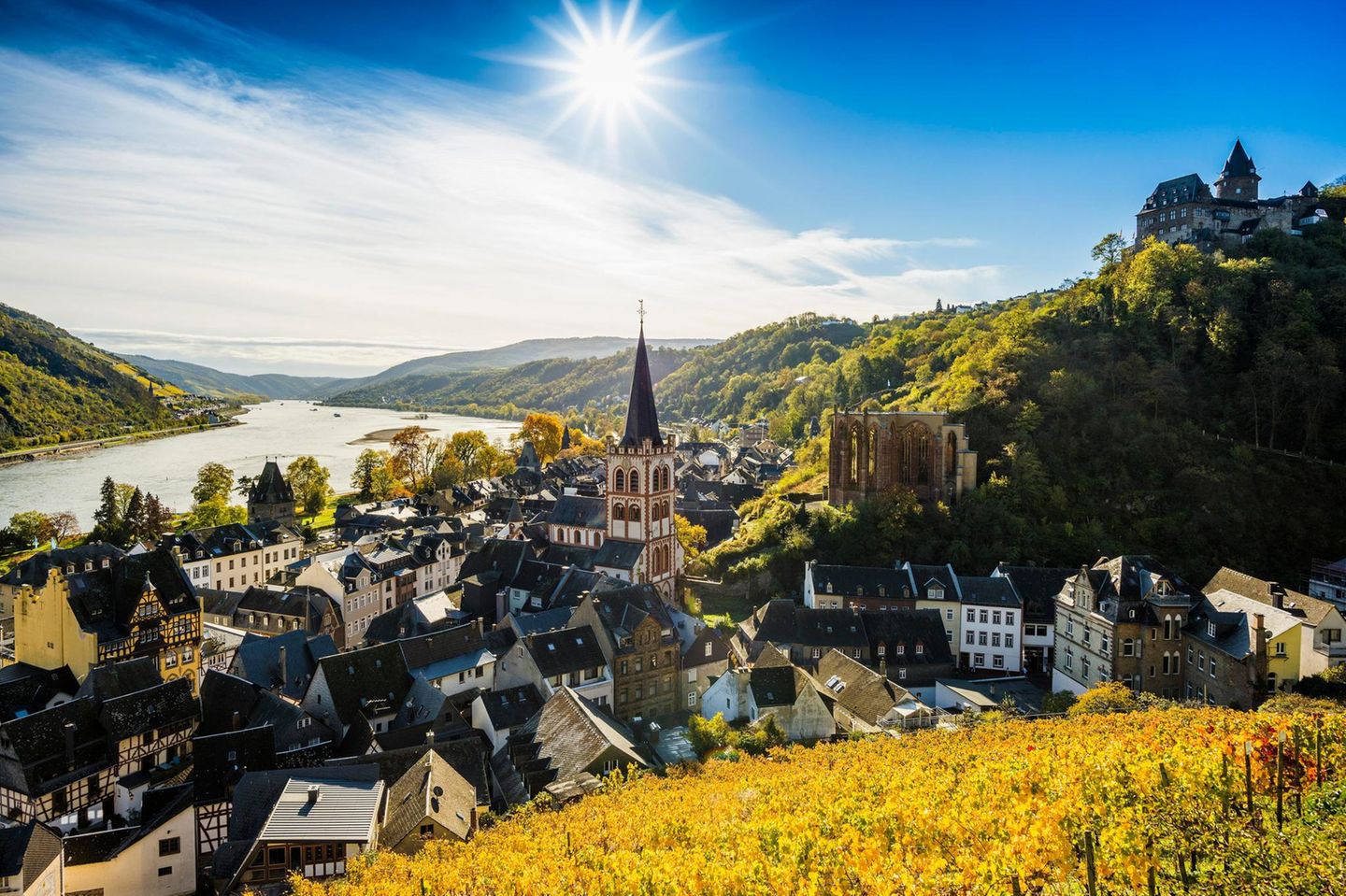 Vineyards and town, St. Peters Parish Church and church ruins of Werner Chapel and Stahleck Castle, Bacharach, Upper Middle Rhine Valley, UNESCO World Heritage Site, Rhine, Rhineland-Palatinate, Germany