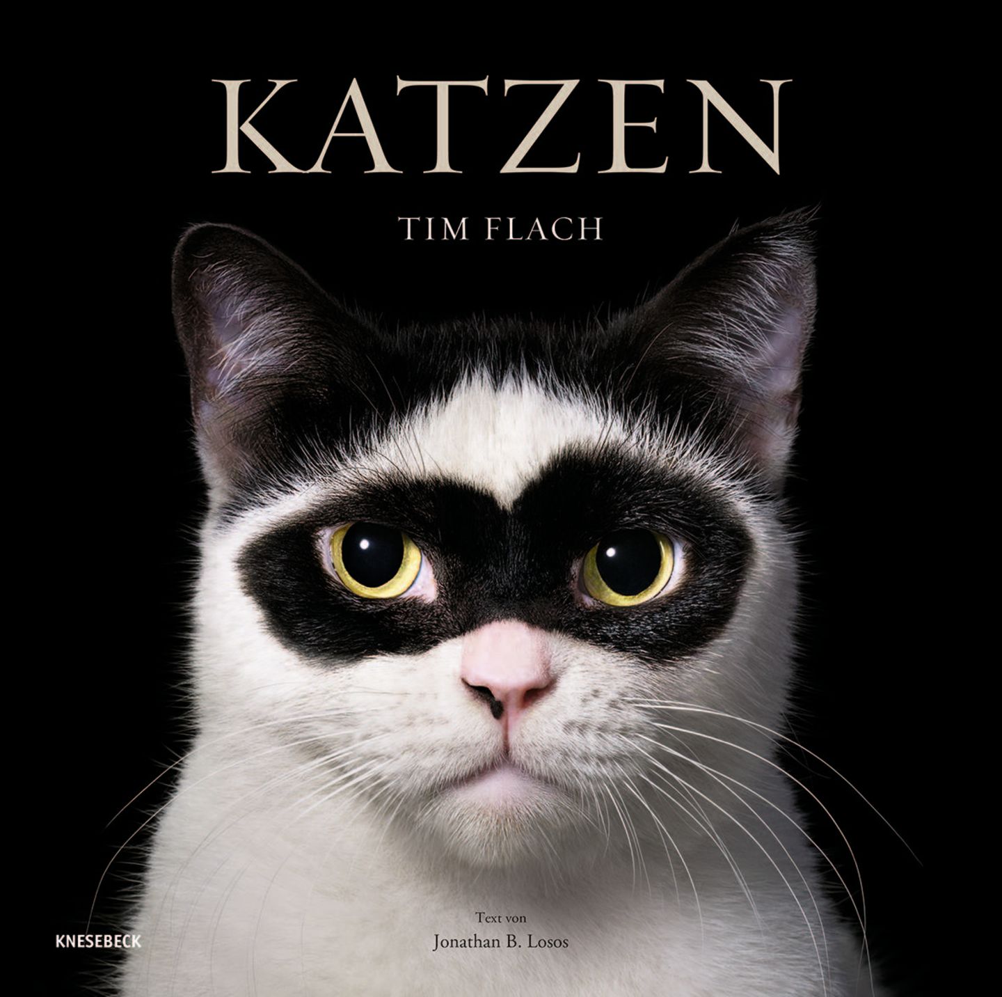 Buchcover "Katzen" von Tim Flacht