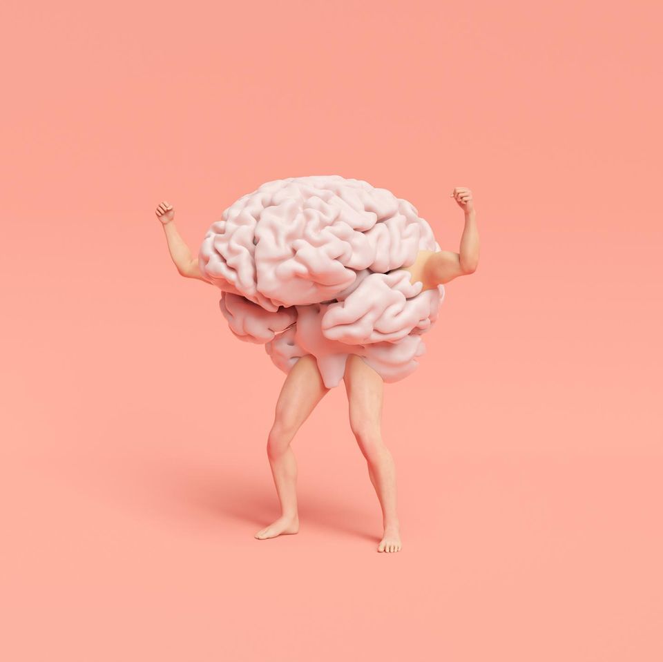 Das menschliche Gehirn besitzt unfassbare Fähigkeiten. Möglich werden sie wohl, weil die Evolution seine Entwicklung kurz nach der Geburt bewusst verlangsamt