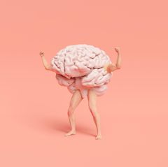 Das menschliche Gehirn besitzt unfassbare Fähigkeiten. Möglich werden sie wohl, weil die Evolution seine Entwicklung kurz nach der Geburt bewusst verlangsamt