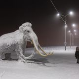 Spaziergängerin und Mammut im Schnee