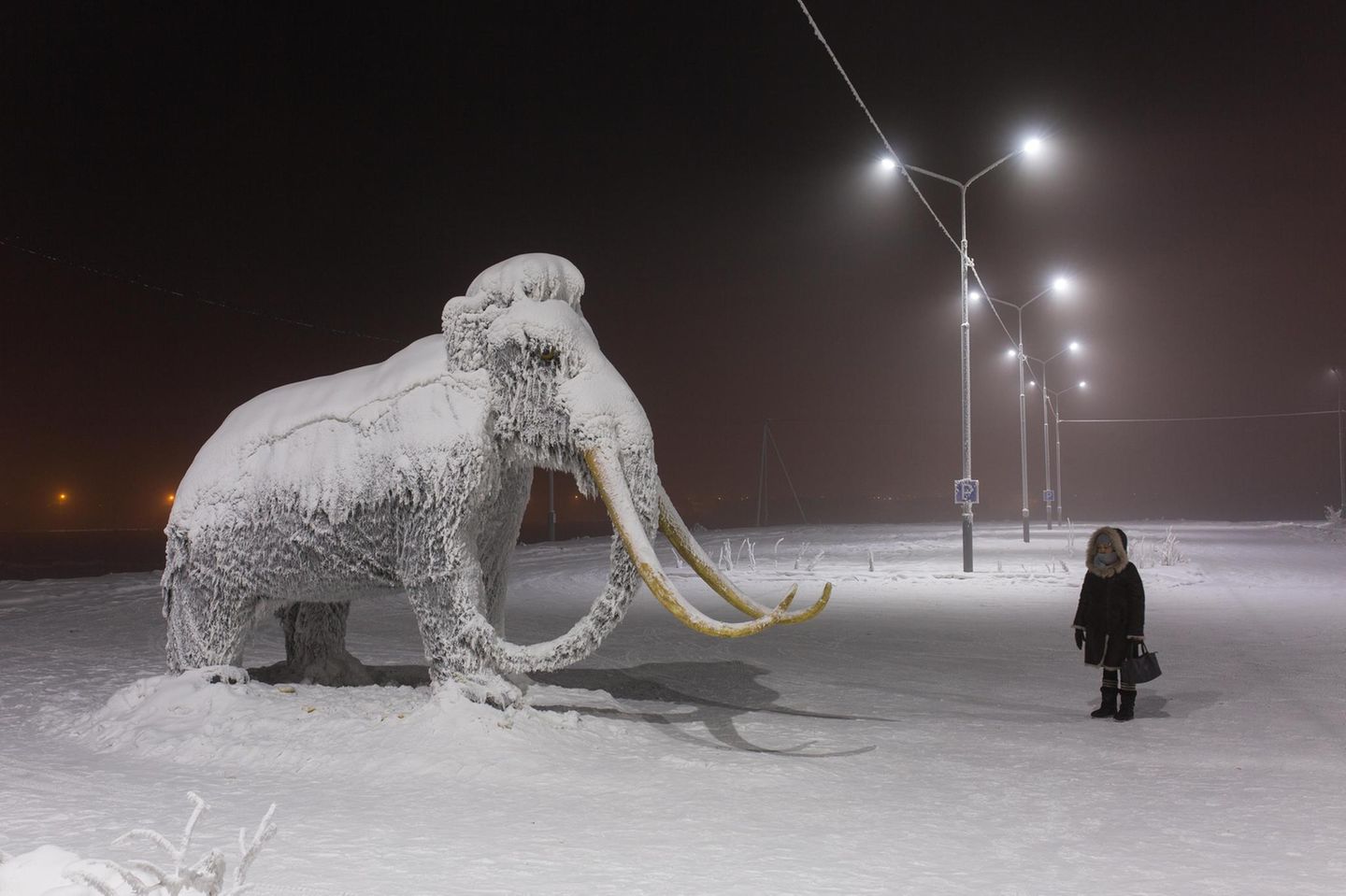 Spaziergängerin und Mammut im Schnee