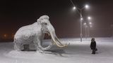 Spaziergängerin und Mammut im Schnee