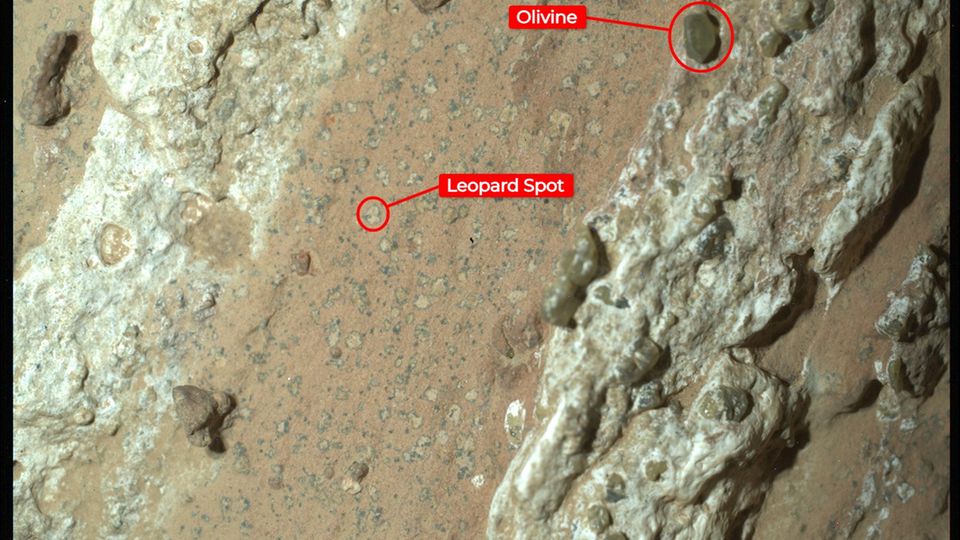 Dieser Stein, den Perseverance auf dem Mars fand, zeigt unter anderem ein Leopardenmuster