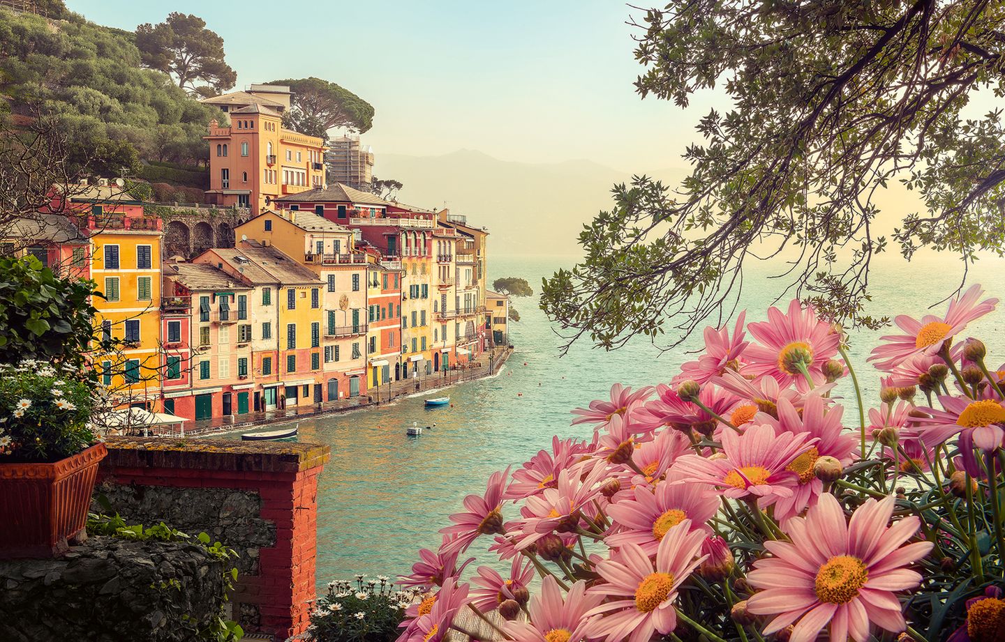 Bunte Häuschen von Portofino