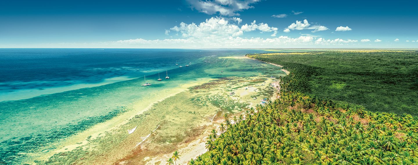 Ein endlos erscheinender schneeweißer Sandstrand, gesäumt von schattenspendenden Palmen