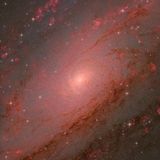 Weitang Liang, Qi Yang und Chuhong Yu gewannen mit ihrer Aufnahme nicht nur in der Kategorie "Galaxien", sondern auch den Gesamtwettbewerb. Ihr Foto zeigt den Kern der Andromedagalaxie in außergewöhnlicher Detailgenauigkeit, aufgenommen mit einem Teleskop mit langer Brennweite. Unter Ausnutzung der hervorragenden Sichtbedingungen im spanischen Nerpio konzentrierten sich die Fotografen darauf, die komplexe Struktur des zentralen Bereichs der Galaxie und die sie umgebende Sternpopulation sichtbar zu machen.