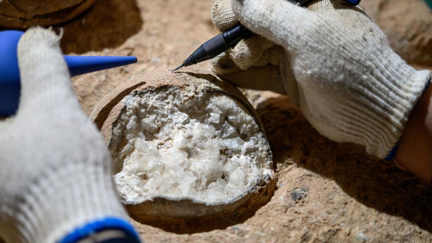 Wie alt ist dieses Ei? Rund 86 Millionen Jahre. Vermutlich legten Dinosaurier der Art Placoolithus tumiaolingensis einst die Eier, die im Yunyang-Becken in Zentralchina entdeckt wurden. Das Innere der Eier ist im Laufe der Jahrmillionen zu Kalzit fossiliert. Forschende konnten nun erstmals direkt das Alter der Eier bestimmen. Dazu entnahmen sie Kalzit aus den Schalen und zählten darin die Uran- und Bleiatome. Da Uran mit einer festen Rate zu Blei zerfällt, lässt sich aus dem Verhältnis der Elemente sowie der absoluten Menge an Blei ableiten, wie lange der Zerfallsprozess schon stattfindet. Das untersuchte Ei ließ sich so auf die späte Kreidezeit datieren. Mit der neuen Methode hoffen die Forschenden, mehr über die Evolution und das Aussterben der Dinosaurier zu lernen. Denn die Altersbestimmung ermöglicht es, Funde von Dinoeiern etwa mit Umwelt- und Klimaveränderungen der jeweiligen Zeit in Beziehung zu setzen. Indem sie Funde verschiedener Regionen datieren, könnten Paläontologen womöglich auch Dinosaurierwanderungen nachverfolgen. KW 37