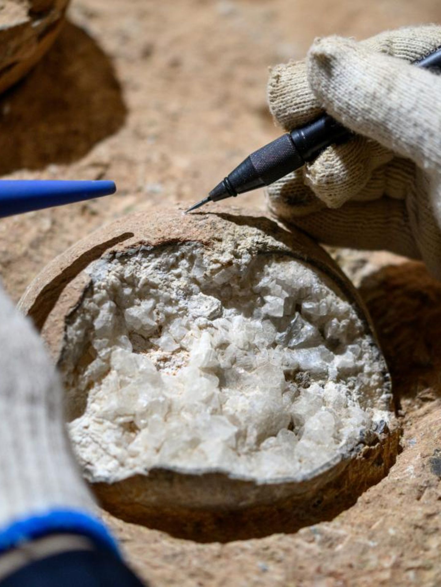 Rund 86 Millionen Jahre. Vermutlich legten Dinosaurier der Art Placoolithus tumiaolingensis einst die Eier, die im Yunyang-Becken in Zentralchina entdeckt wurden. Das Innere der Eier ist im Laufe der Jahrmillionen zu Kalzit fossiliert. Forschende konnten nun erstmals direkt das Alter der Eier bestimmen. Dazu entnahmen sie Kalzit aus den Schalen und zählten darin die Uran- und Bleiatome. Da Uran mit einer festen Rate zu Blei zerfällt, lässt sich aus dem Verhältnis der Elemente sowie der absoluten Menge an Blei ableiten, wie lange der Zerfallsprozess schon stattfindet. Das untersuchte Ei ließ sich so auf die späte Kreidezeit datieren. Mit der neuen Methode hoffen die Forschenden, mehr über die Evolution und das Aussterben der Dinosaurier zu lernen. Denn die Altersbestimmung ermöglicht es, Funde von Dinoeiern etwa mit Umwelt- und Klimaveränderungen der jeweiligen Zeit in Beziehung zu setzen. Indem sie Funde verschiedener Regionen datieren, könnten Paläontologen womöglich auch Dinosaurierwanderungen nachverfolgen.  KW 37