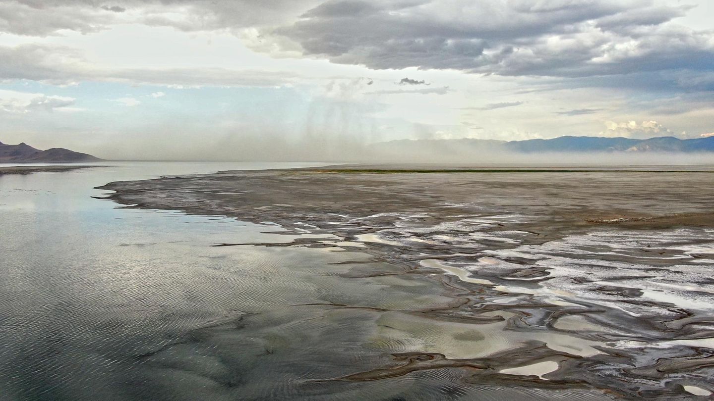 Aus der Tiefe gespeist: Inmitten der immer häufiger ausgetrockneten Playa des Great Salt Lake tauchen bewachsene Inseln auf