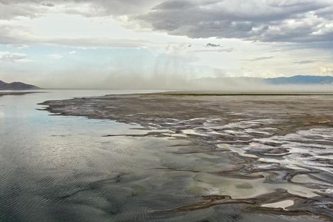 Aus der Tiefe gespeist: Inmitten der immer häufiger ausgetrockneten Playa des Great Salt Lake tauchen bewachsene Inseln auf