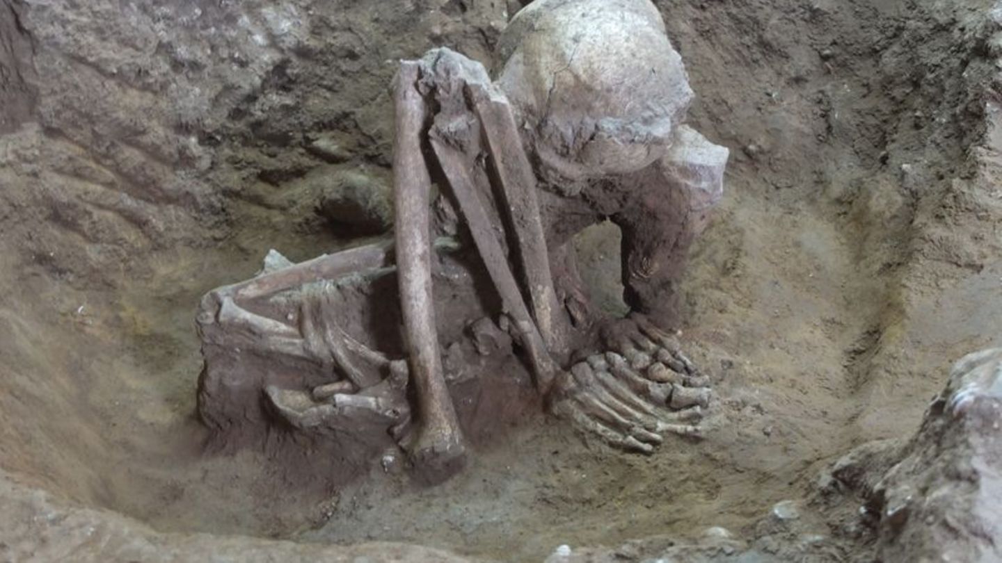 Dieser Fund soll älter als 9.000 Jahre sein. Foto: Yousuke Kaifu;Hirofumi Matsumura/dpa