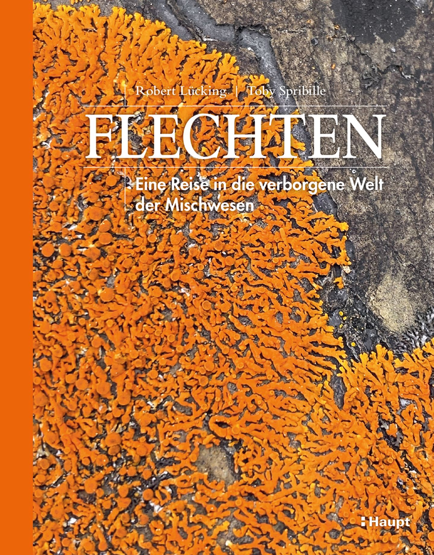 Buchempfehlung  Cover "Flechten"
