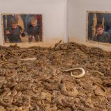 Kinder schauen durch Scheiben auf einen Raum, dessen gesamter Boden mit Klapperschlangen bedeckt ist