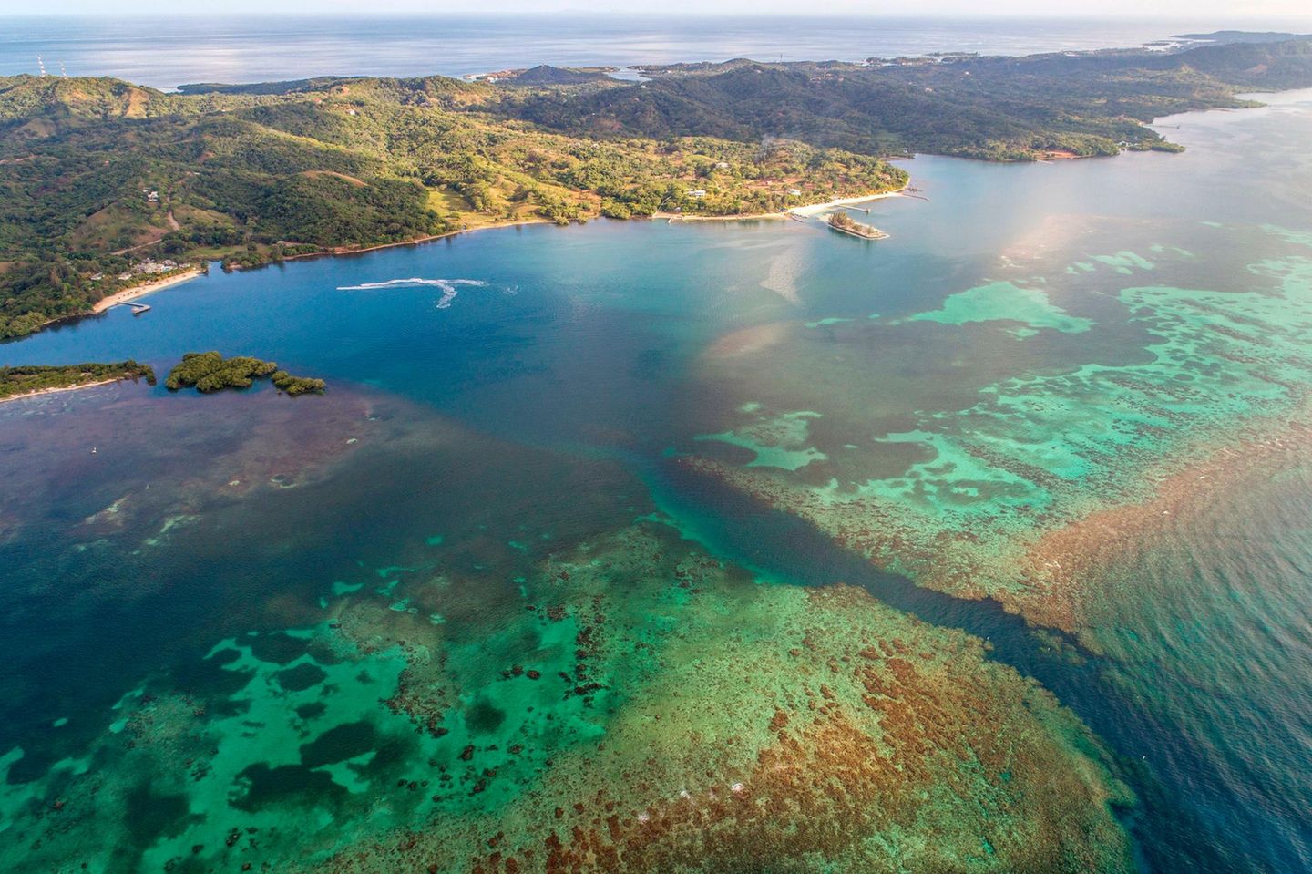 Korallenriff aus der Vogelperspektive, vor Roatán, Honduras.