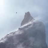 Ein Kondor umkreist einen Berggipfel