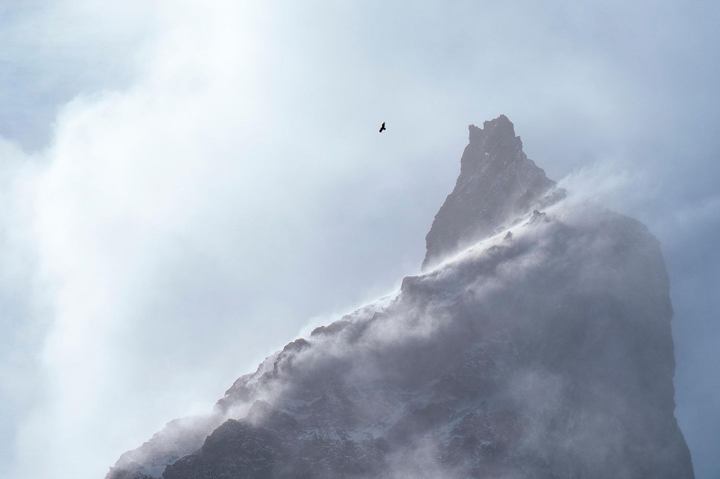 Kondor vor epischer Bergkulisse Ein Kondor umkreist einen Berggipfel