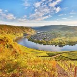 Moselschleife im Herbst