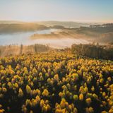 Wälder im Sauerland