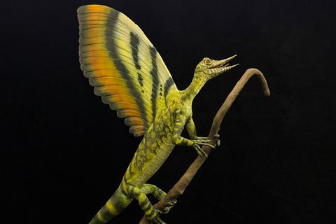 Dinosaurier auf einem Ast