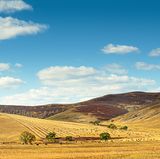 Fengning Bashang Grasslands