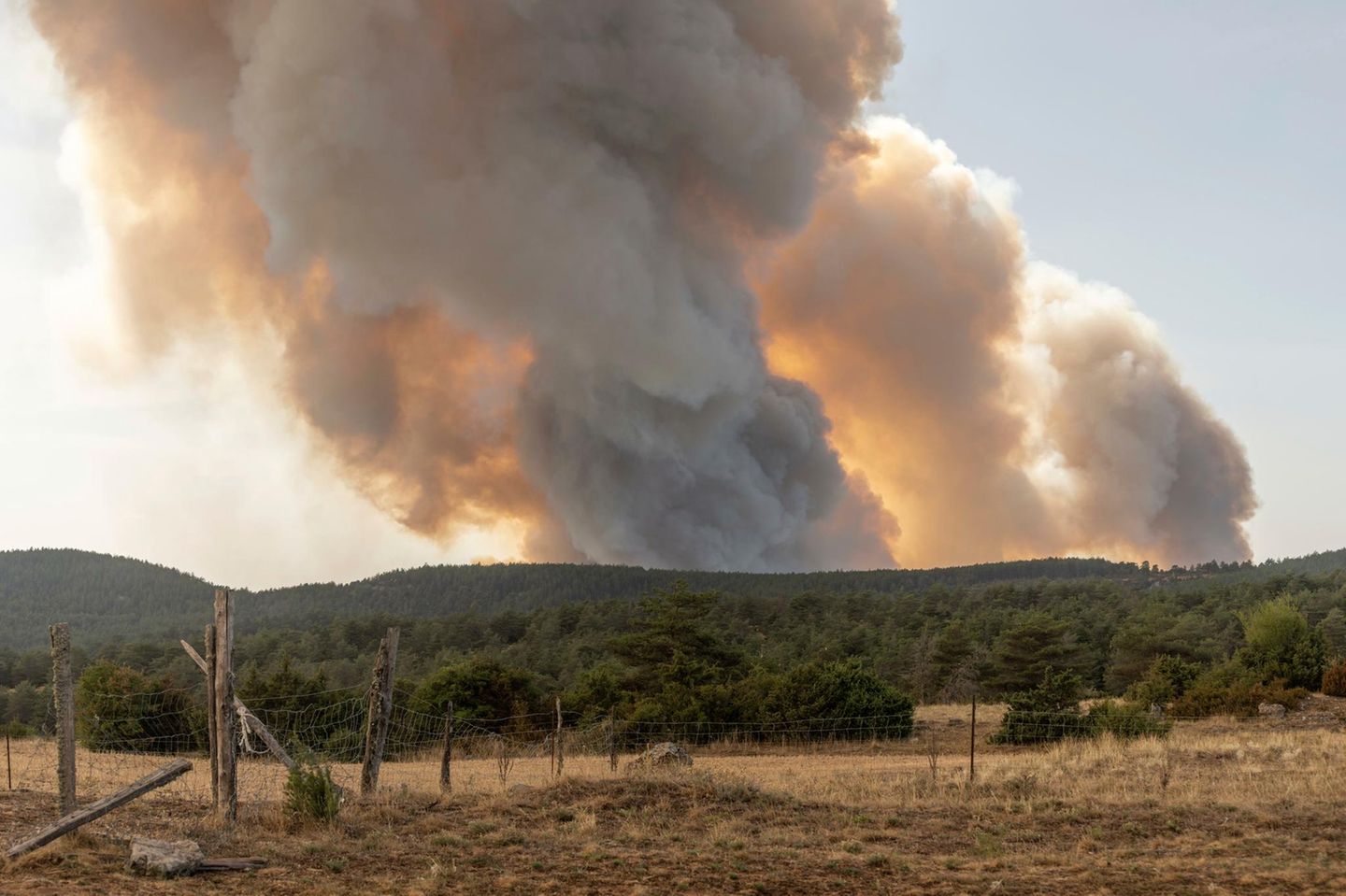 Waldbrand verwüstet Causse de sauveterre. Montuejols, Aveyron, Cevennen, Frankreich, Europa