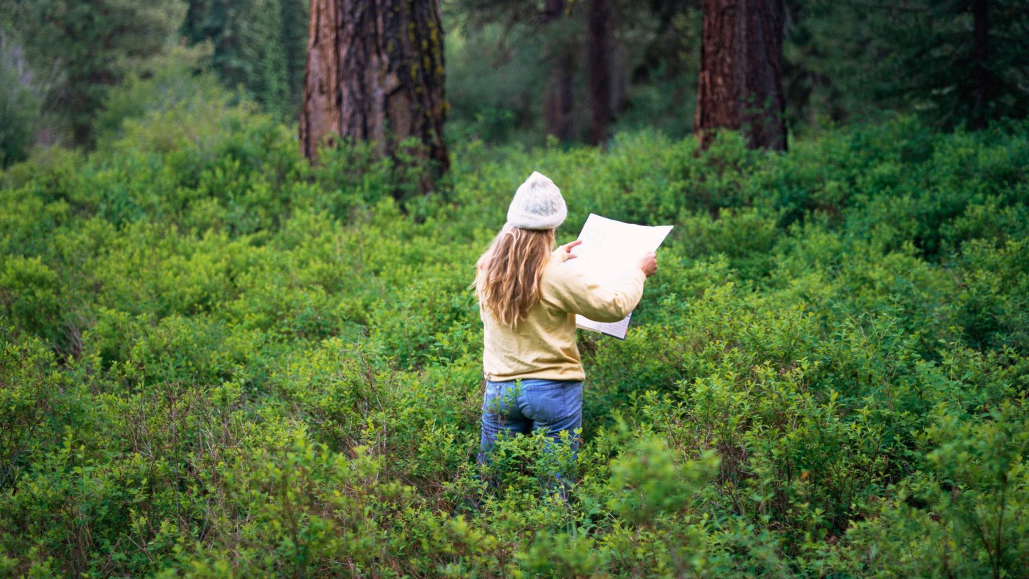 Eine Frau mit Karte im Wald