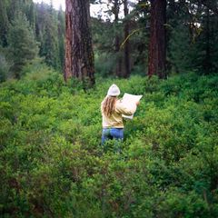 Eine Frau mit Karte im Wald