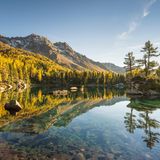 Goldener Herbst am Bergsee Lagh da Saoseo