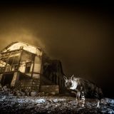 Hyäne in einer Geisterstadt