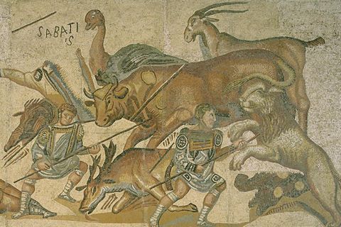 Mosaik, auf dem Gladiatoren gegen Löwen und andere wilde Tiere kämpfen