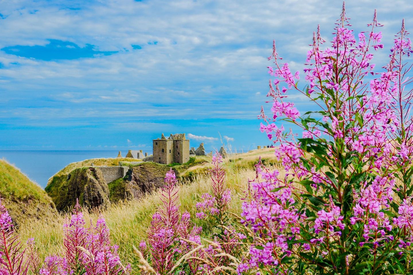 Dunnottar Castle: Festung über dem Meer Dunnottar Castle in Schottland