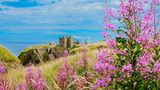 Dunnottar Castle in Schottland