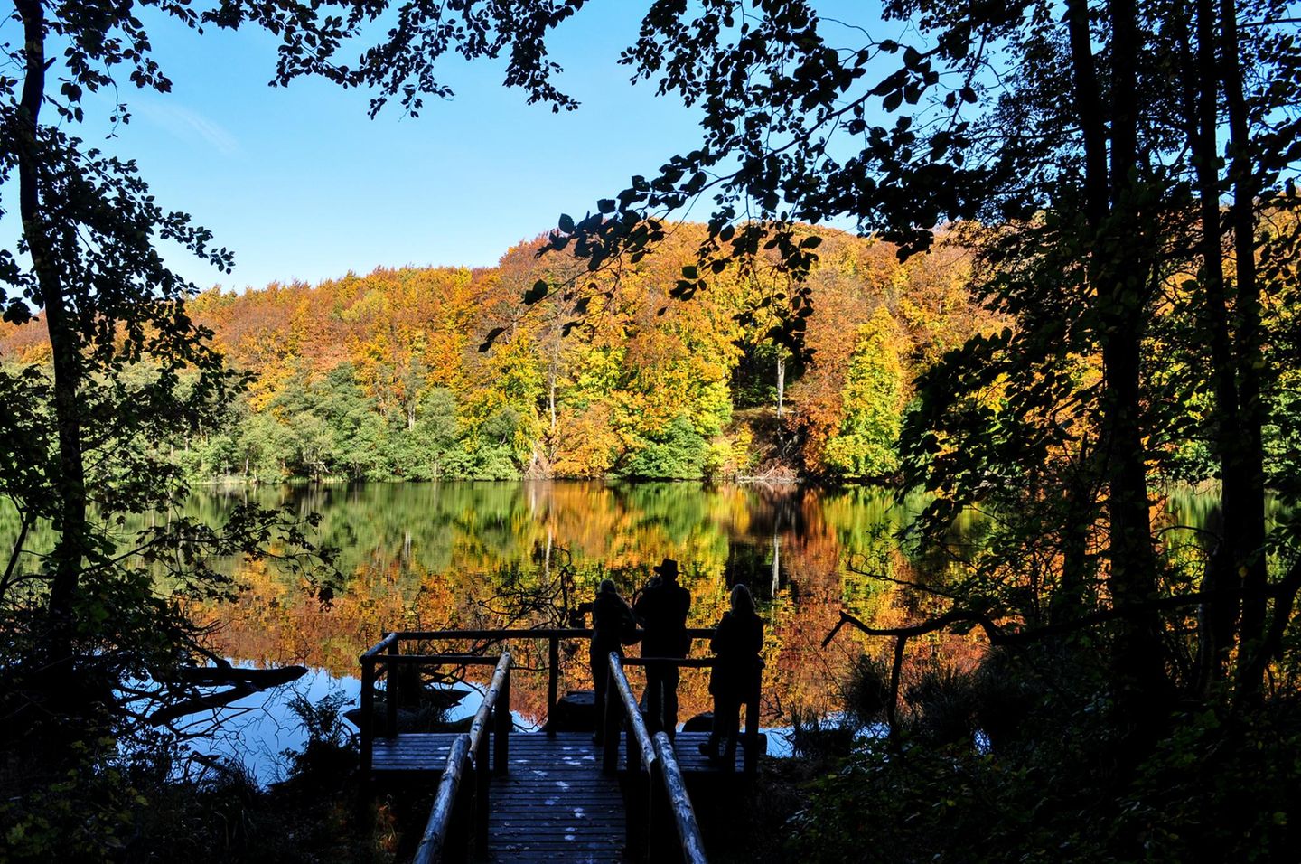 Herthasee im Herbst