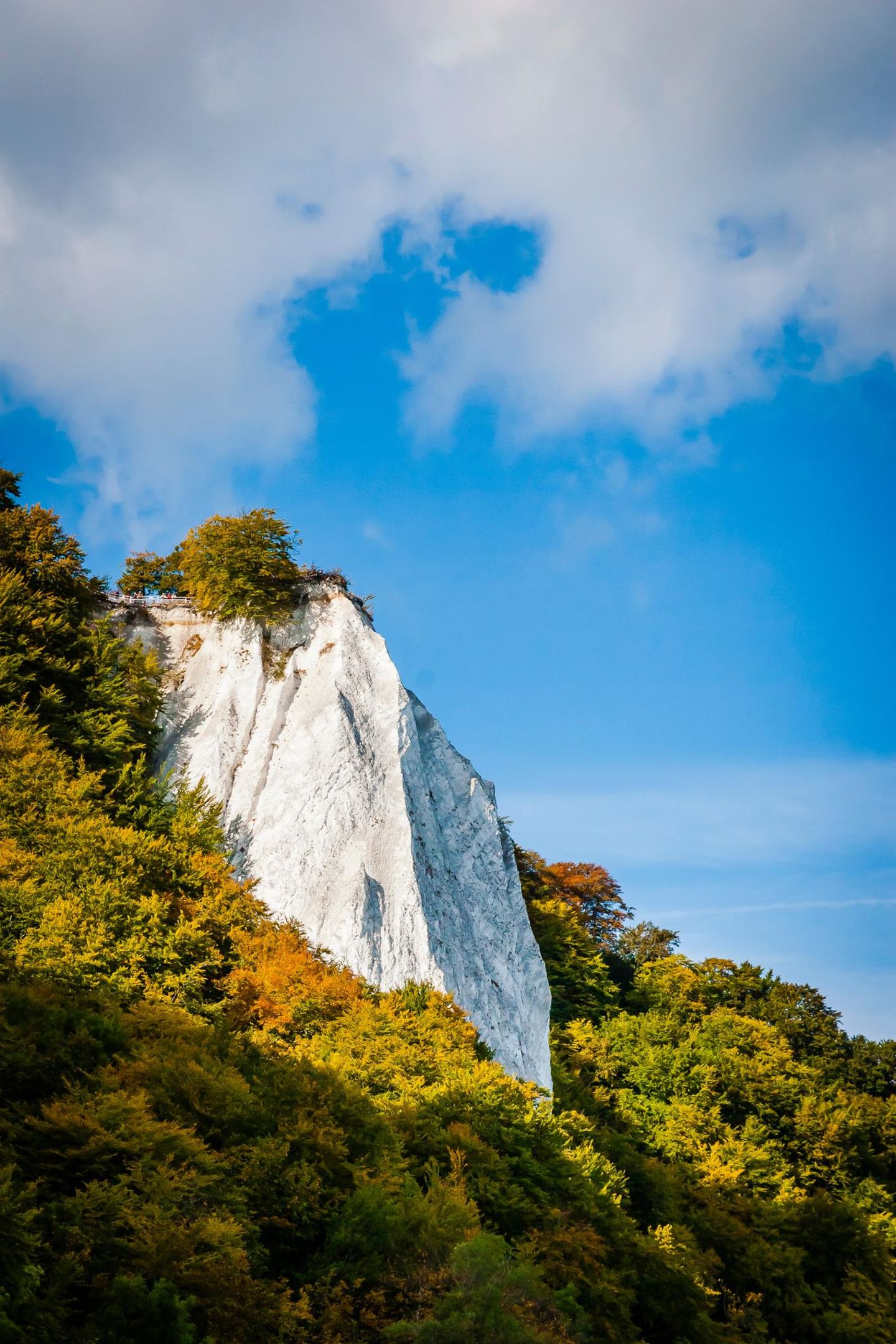 Kreidefelsen im Herbst